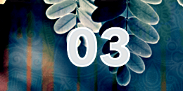 some semi transparent leaves over a blueish background and number 3